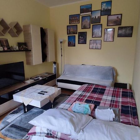 Robert'S Apartment ブラショフ エクステリア 写真